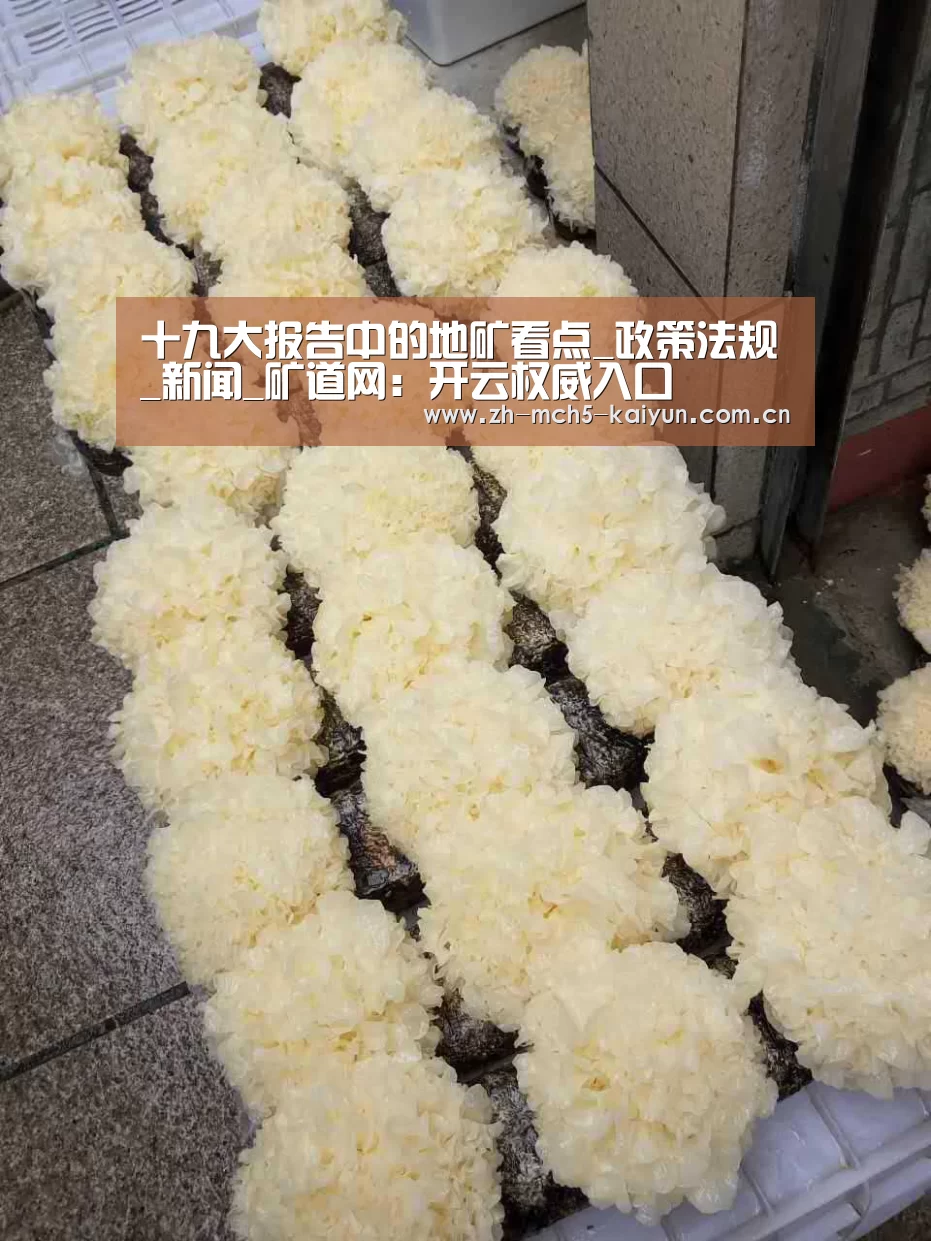 开云中国官网