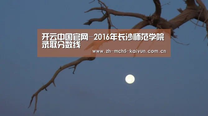 开云官方平台