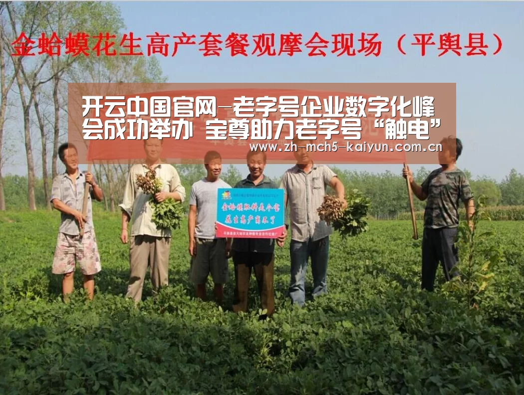 开云综合服务