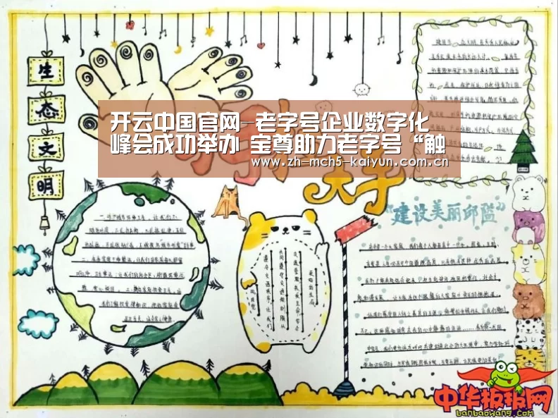 开云官方平台