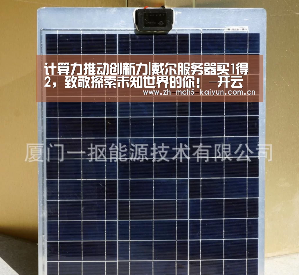 开云权威入口